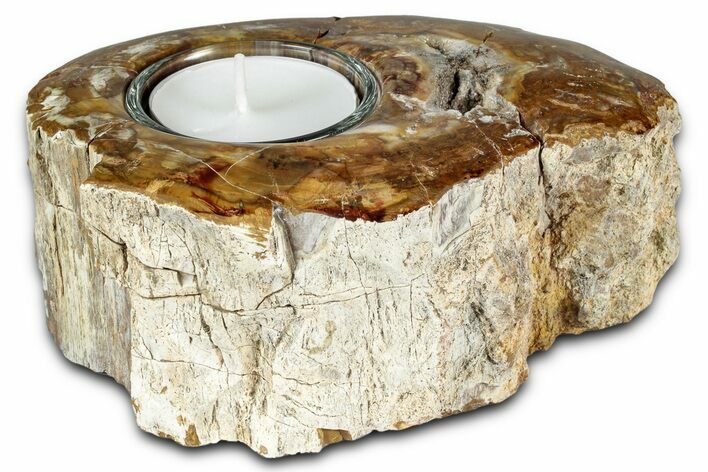 Polished Petrified Wood Candle Holder - Madagascar #337550